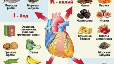 Photo of Продукты, которые полезны для сердца